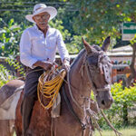 cowboy_nicoya260424
